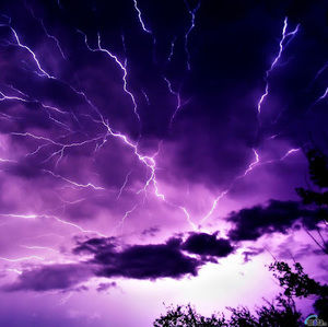 Meet your Posher, Kelley